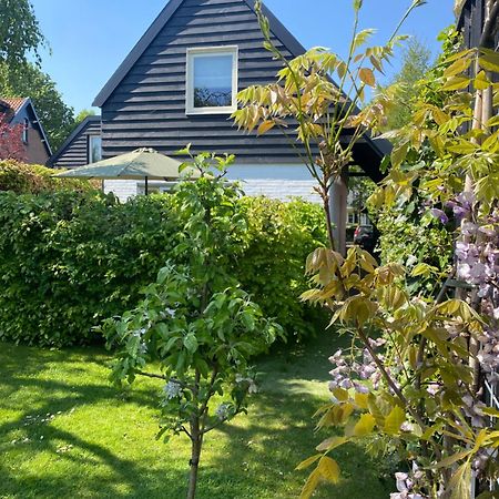 Tiny House De Oude Berg Villa Bergen Bagian luar foto